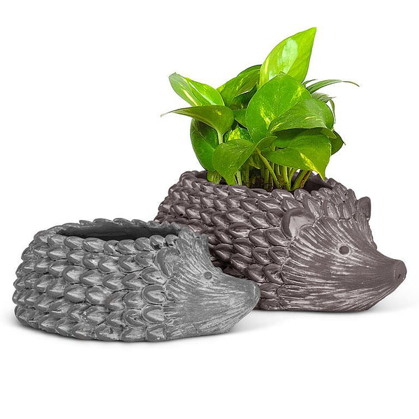 Hedgehog Planter